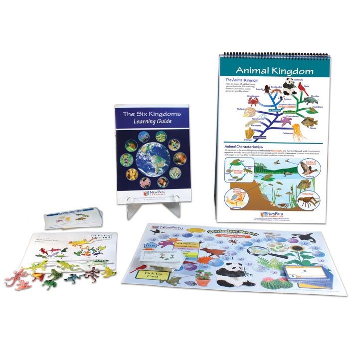 Curriculum Learning Modules